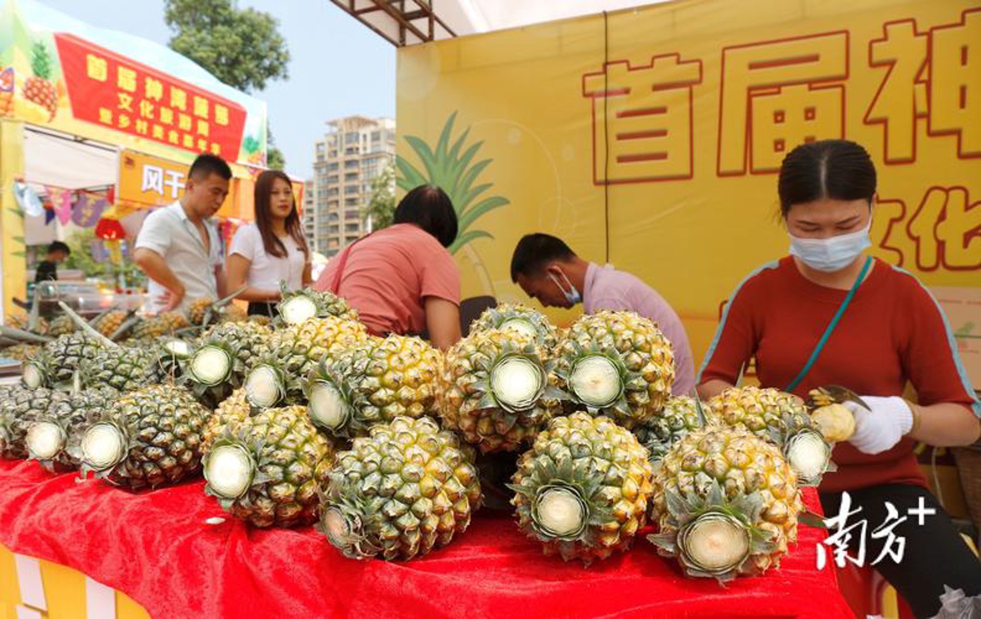 菠萝文艺